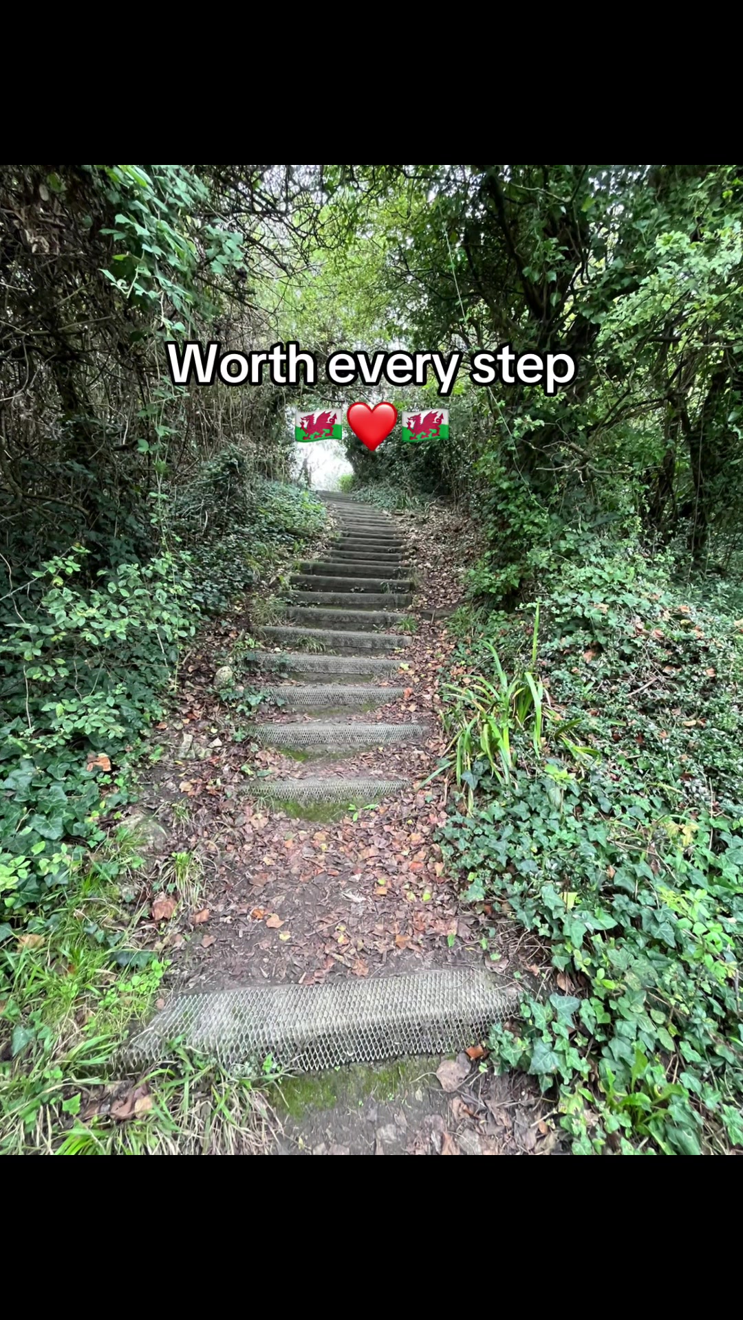 @natsworld178