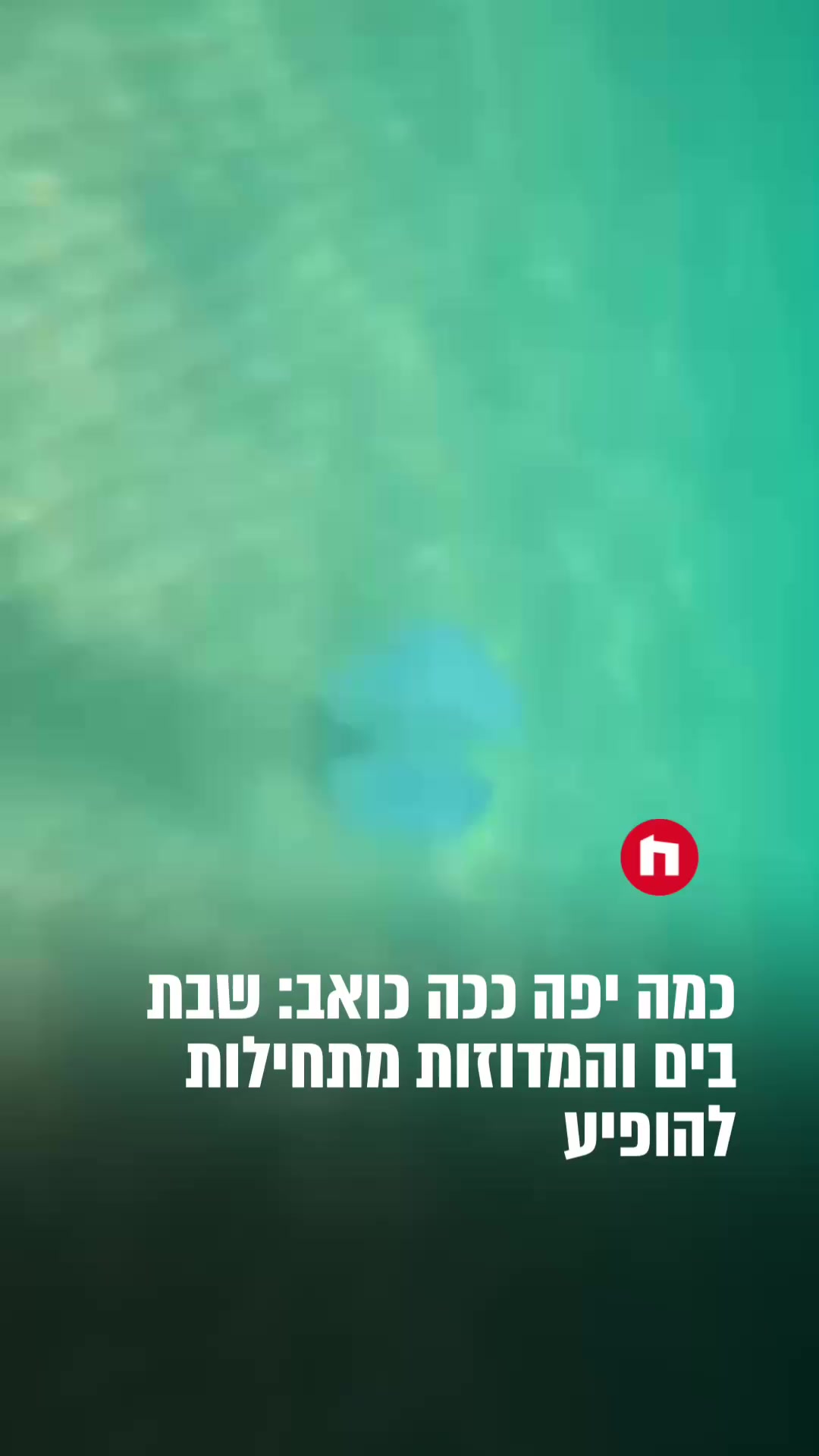 @חמ״ל