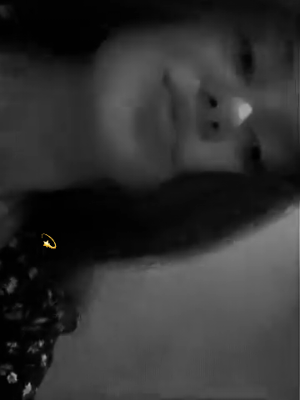 @𝓛𝓲𝓴𝓪🌺