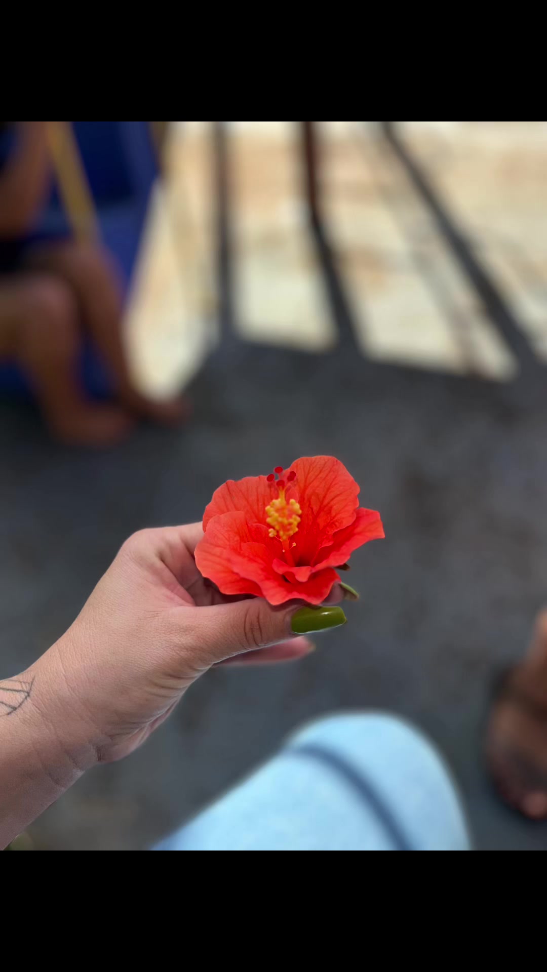 @tabataferrinho1