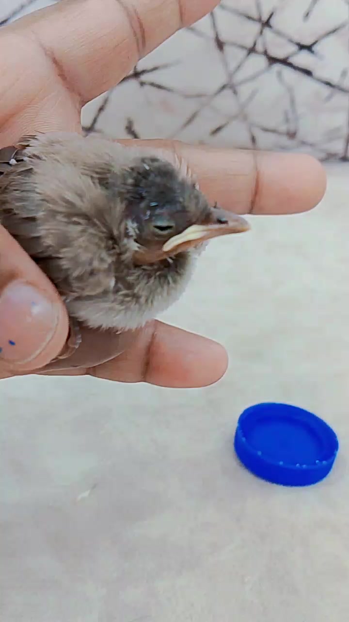 @Ggshv Ggsv