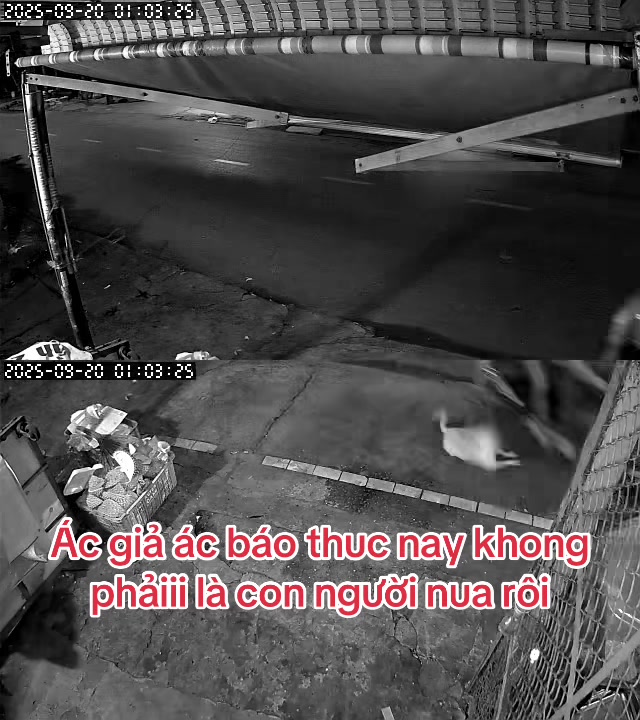 @L&ecirc; Ti&ecirc;n 63