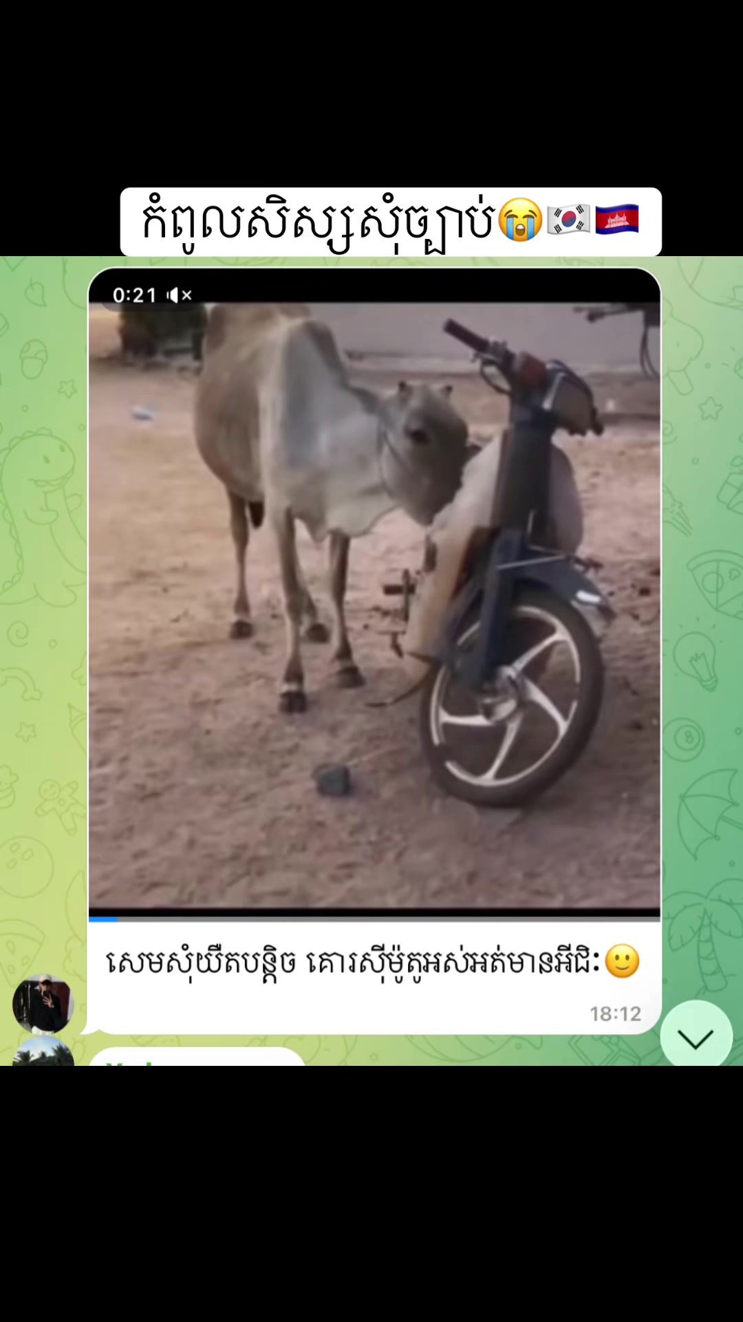 @សាលាភាសាកូរ៉េ សុីអេនខេ🇰🇷🇰🇭