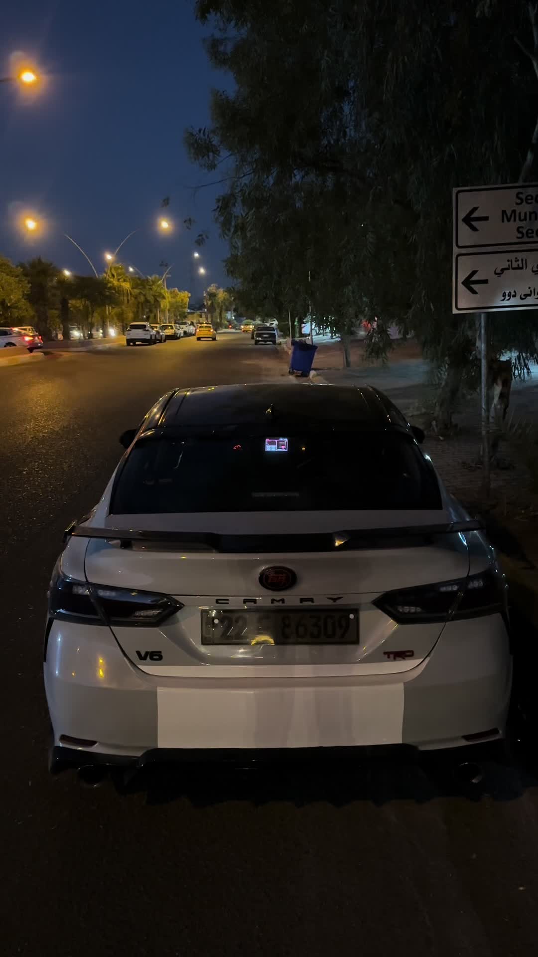 @⚜️ali_sadulla⚜️