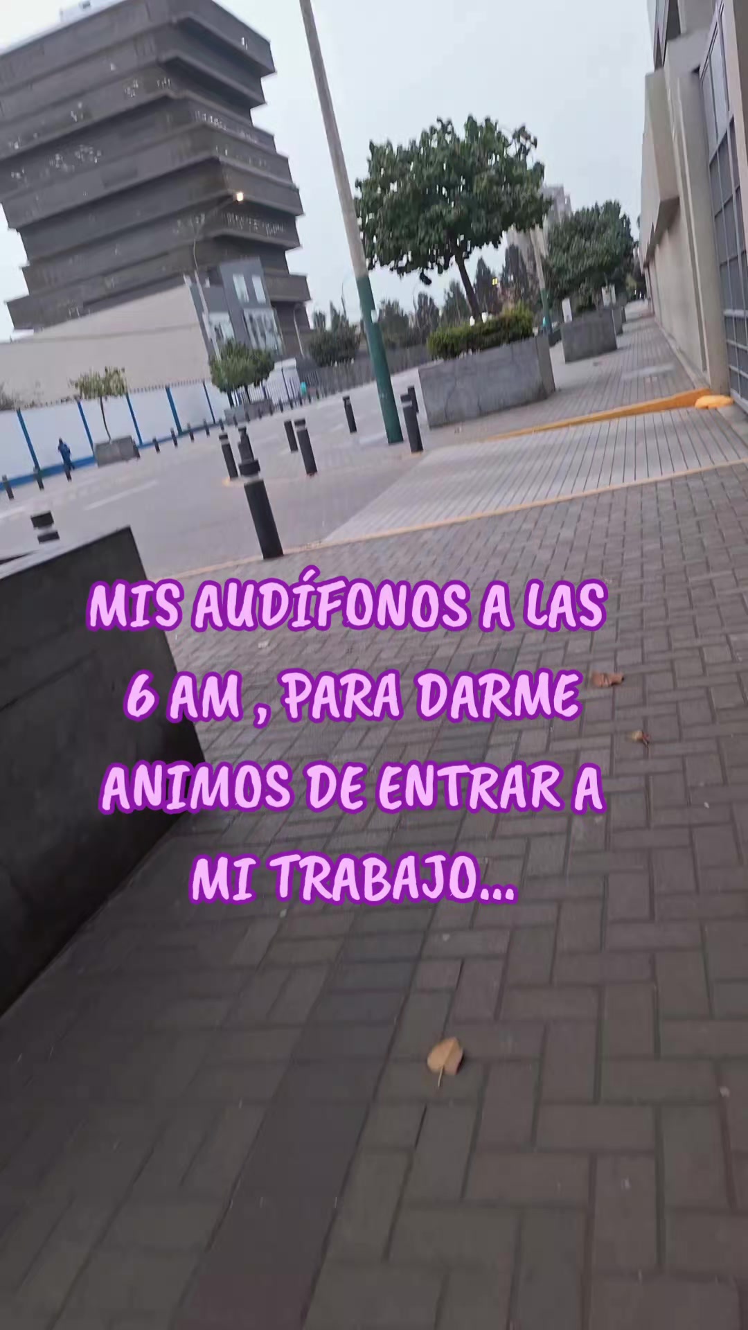 @Carmen Granara