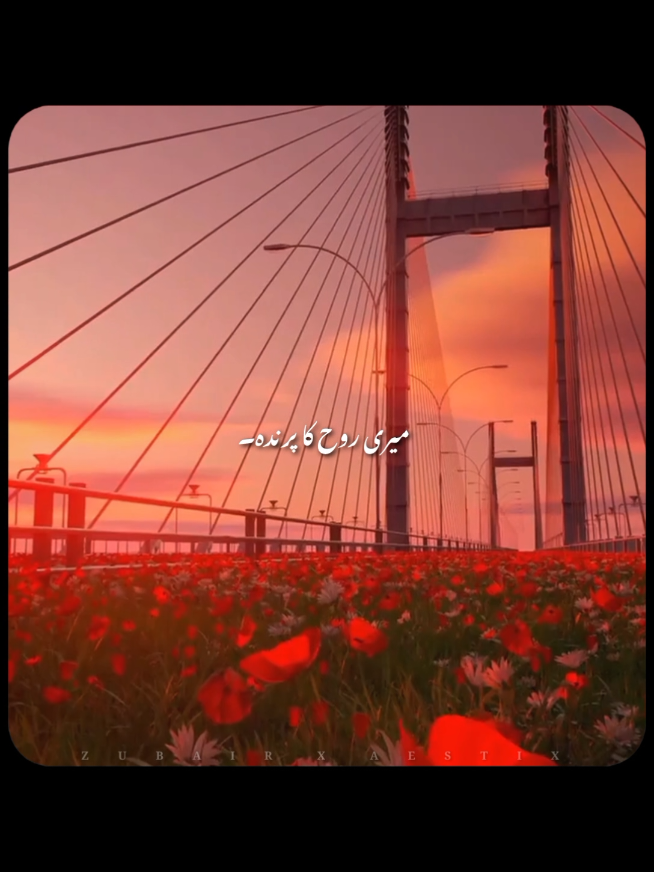 @𝙕𝙐𝘽𝘼𝙄𝙍 𝙓 𝘼𝙀𝙎𝙏𝙄𝙓🎧