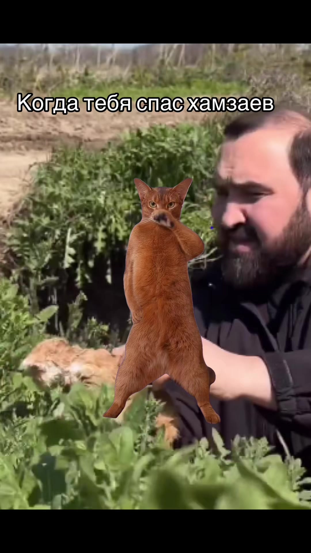 @maxofskiy