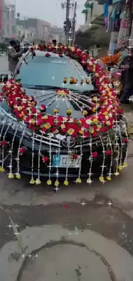 @mudassarjutt223
