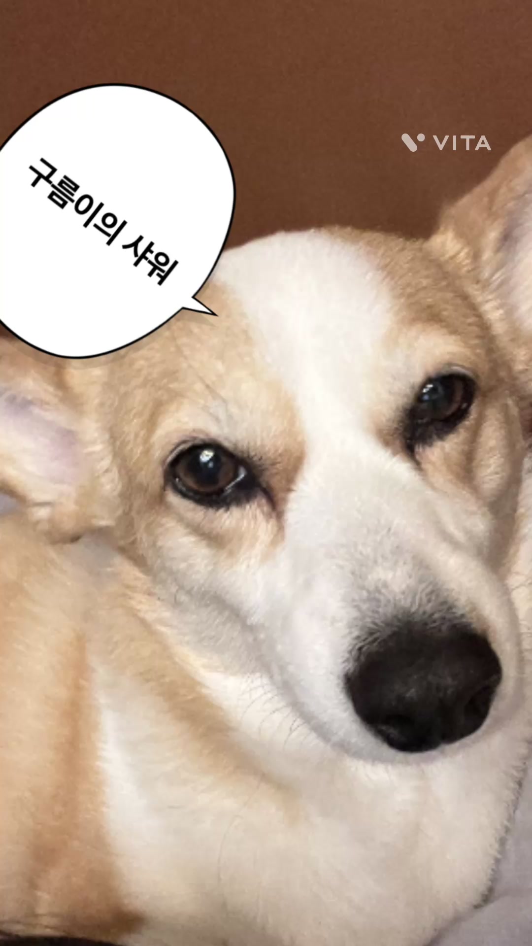 @양말 꼬랑내