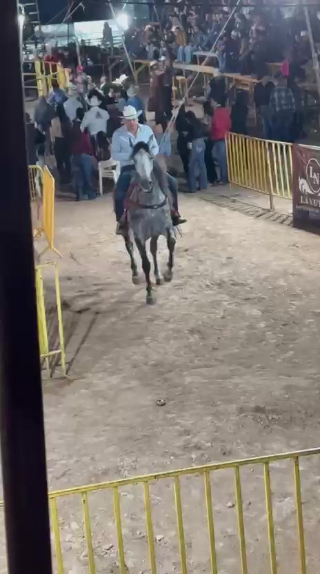 @Julio César