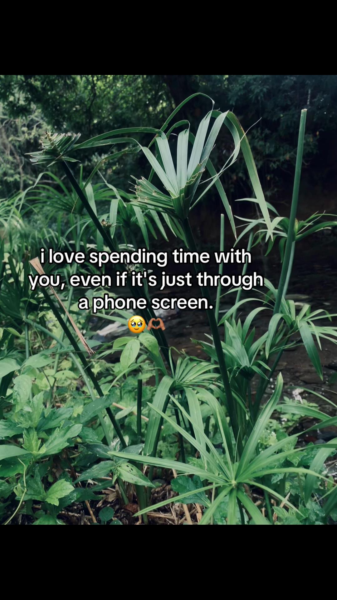 @𝚄𝙽𝙺𝙽𝙾𝚆𝙽 ×͜×