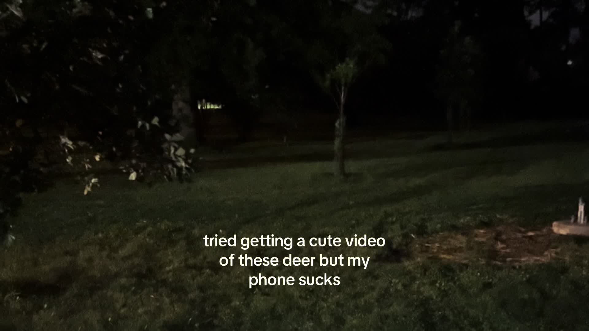 @soinning