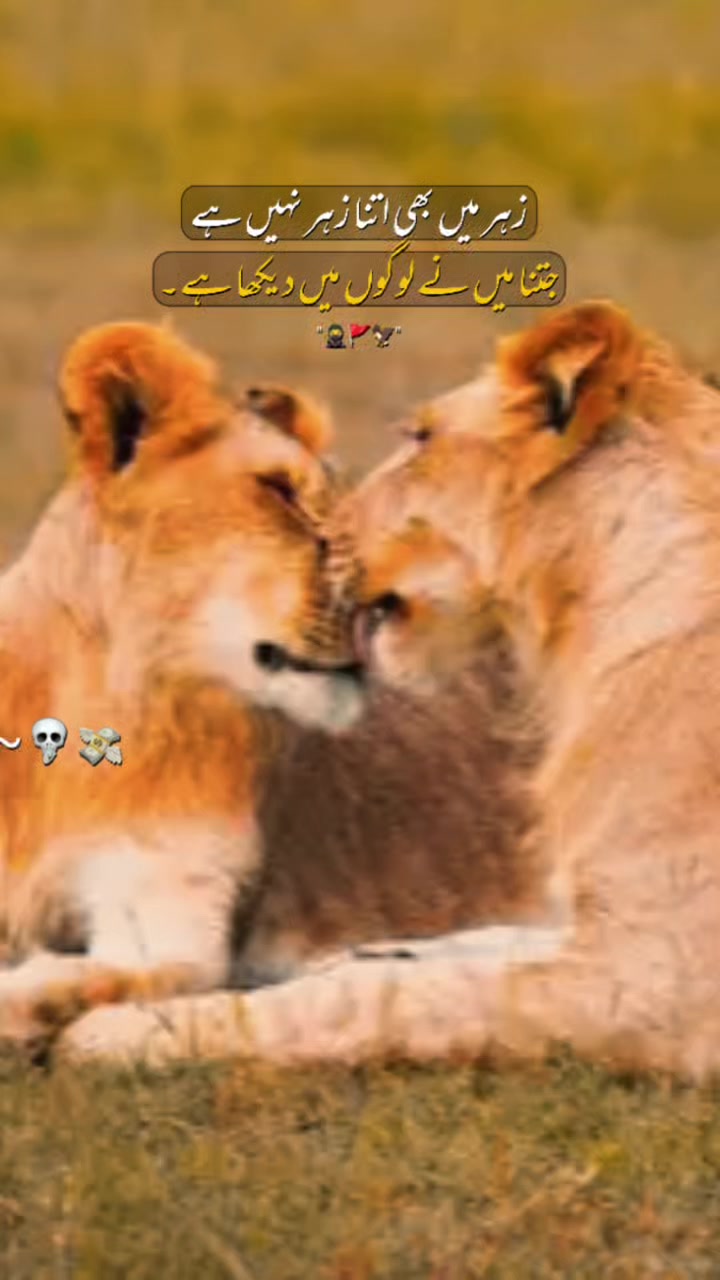 @𝙂𝙝𝙖𝙢 𝙀 𝘼𝙨𝙝𝙞𝙦