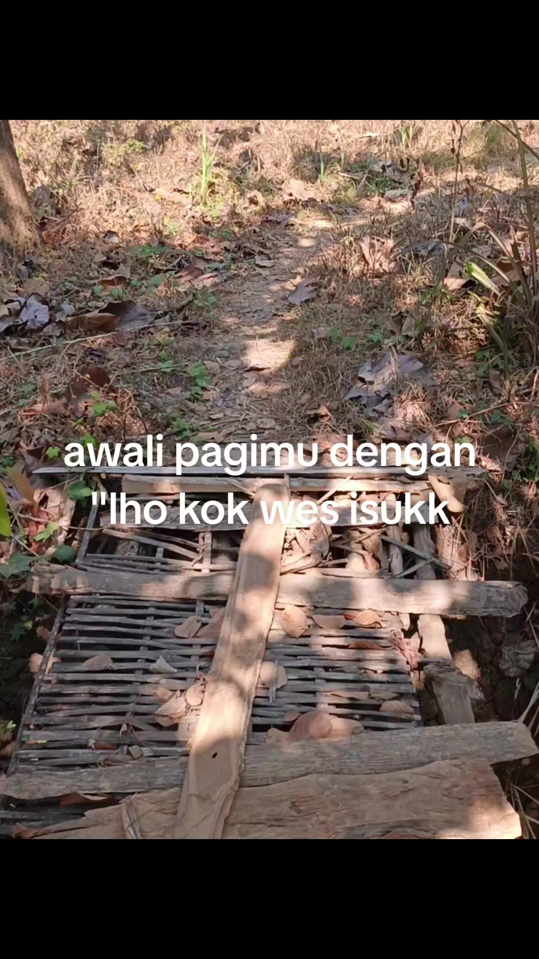 @ꪑꪖ᭙ꪖꪀ⚡