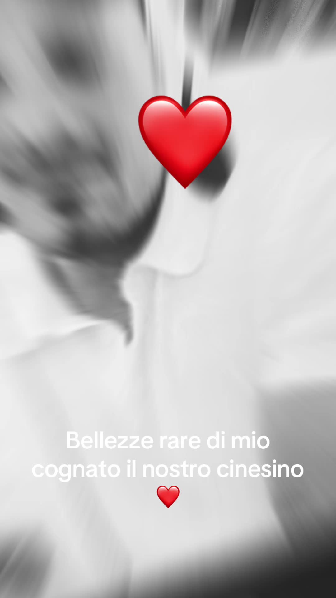 @manurikigiovifranci7