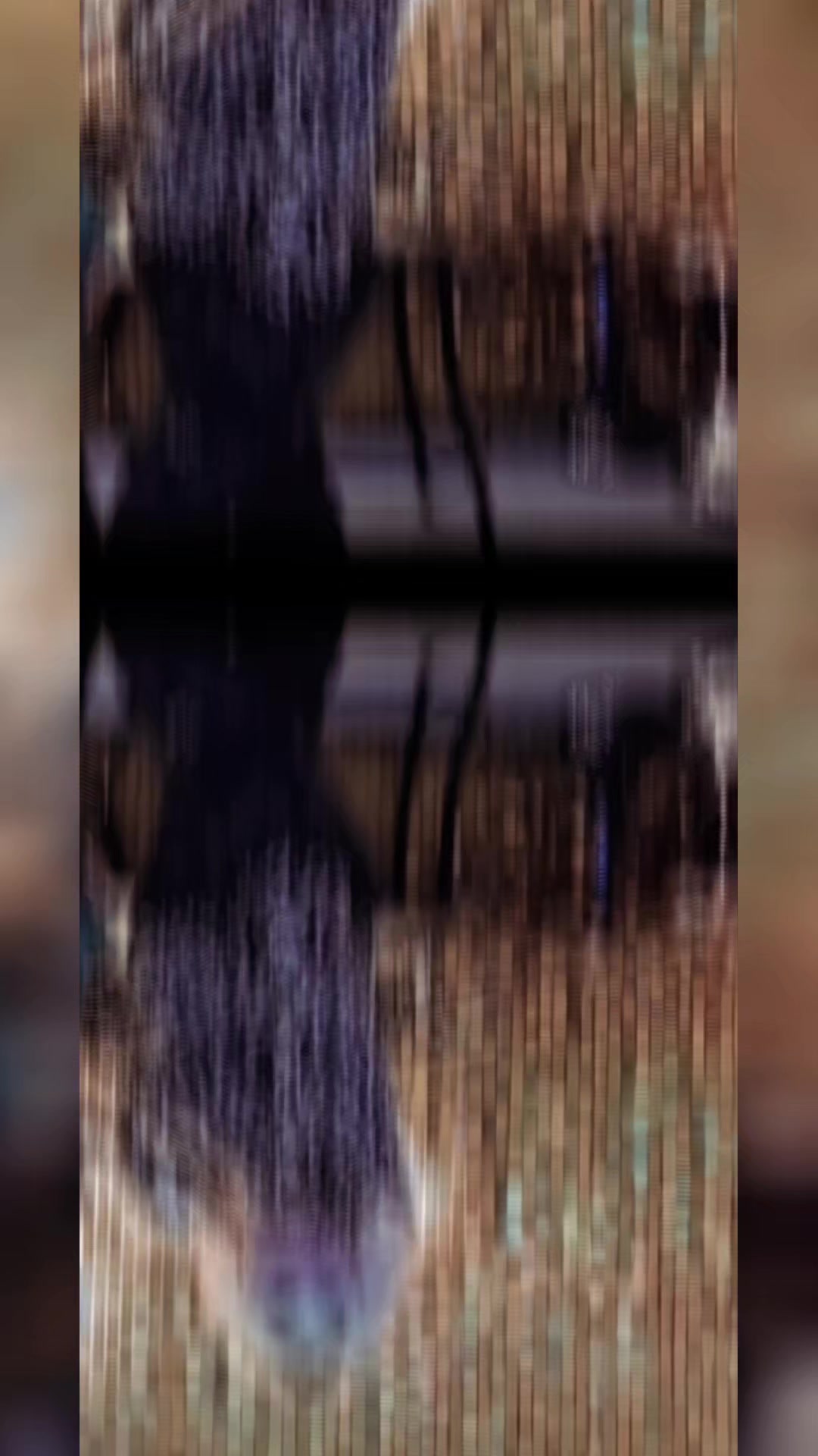 @..........