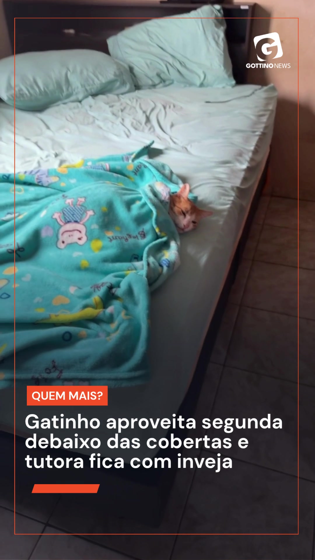 @Reinaldo Gottino