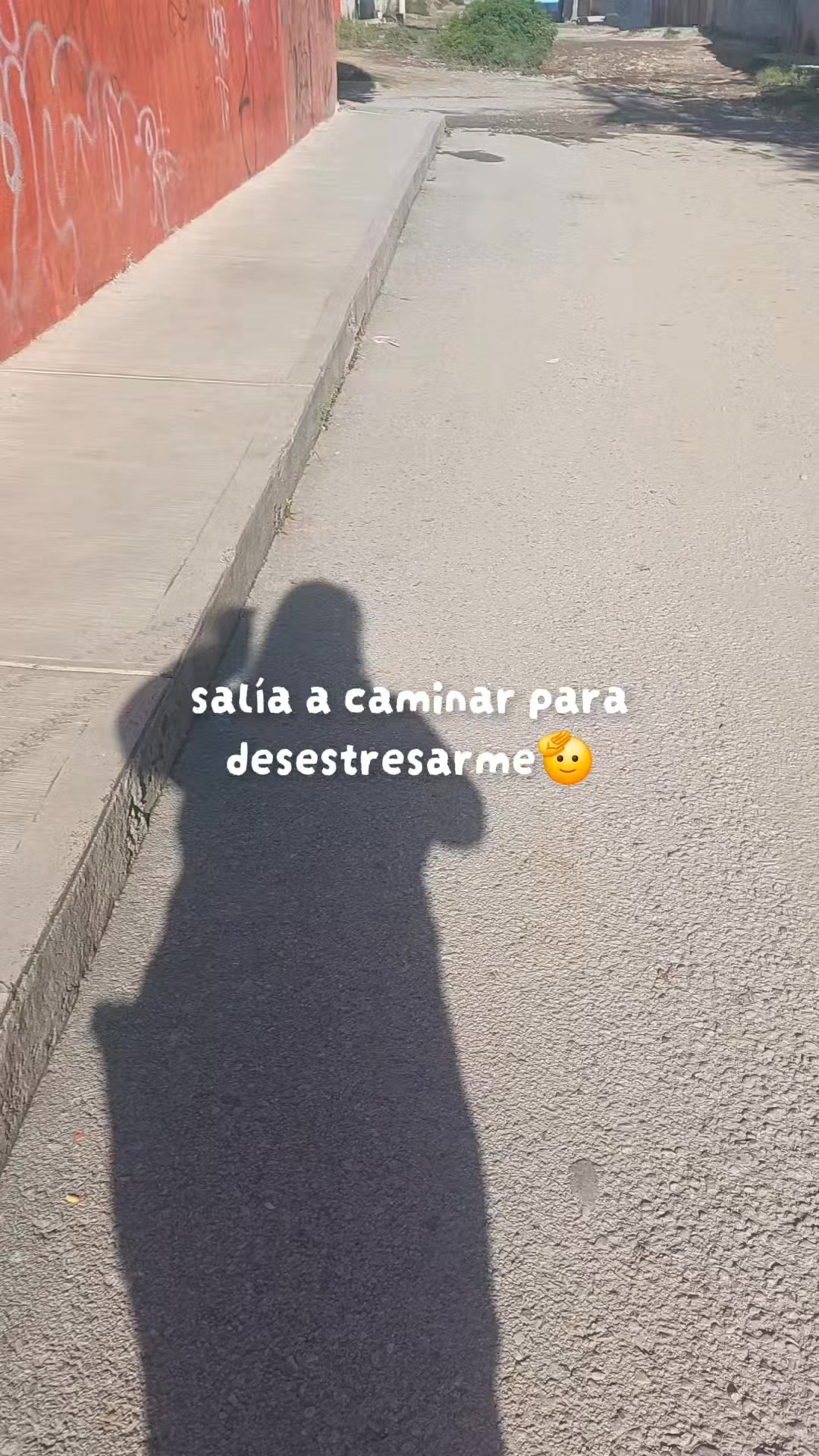 @dani