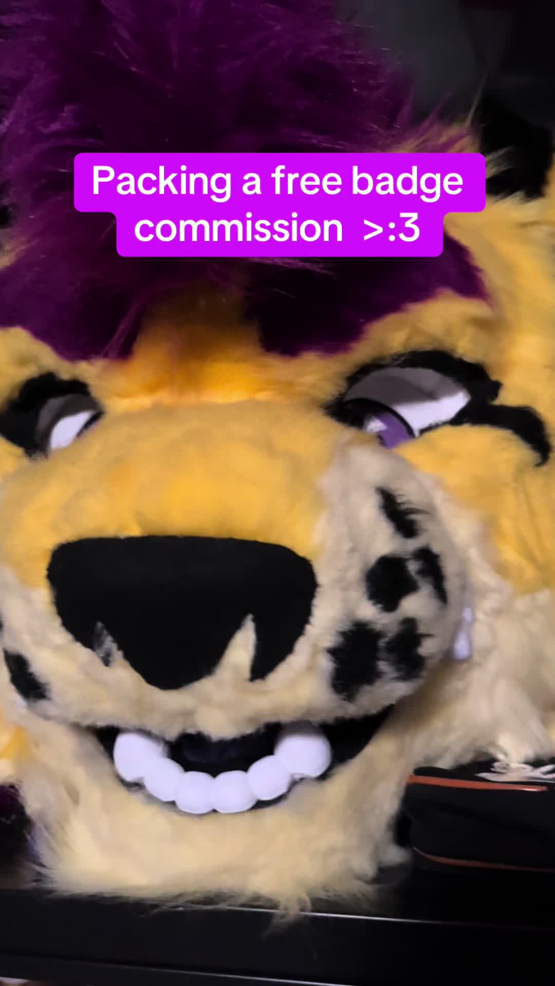 @Wolfyy!! ‼️‼️