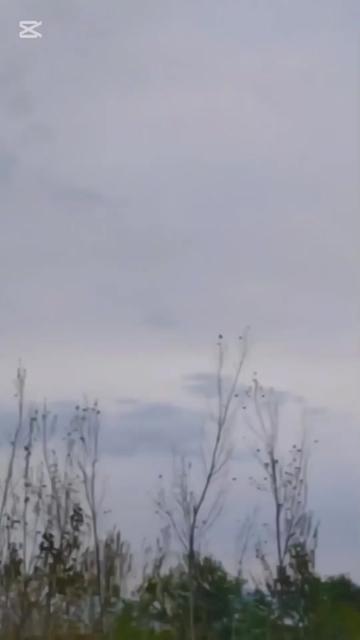@SOHAIL.AKBAR⛎