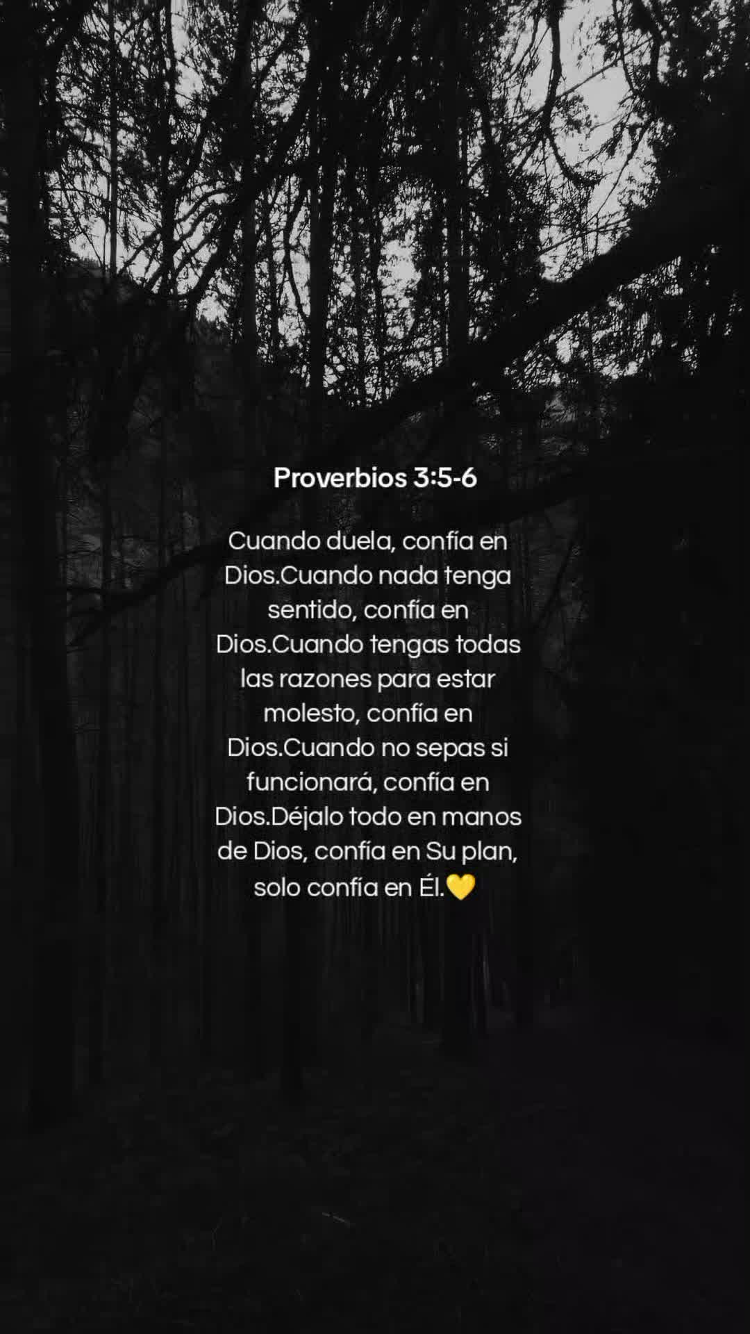 @✧Nando Luz 🕯️✞✨