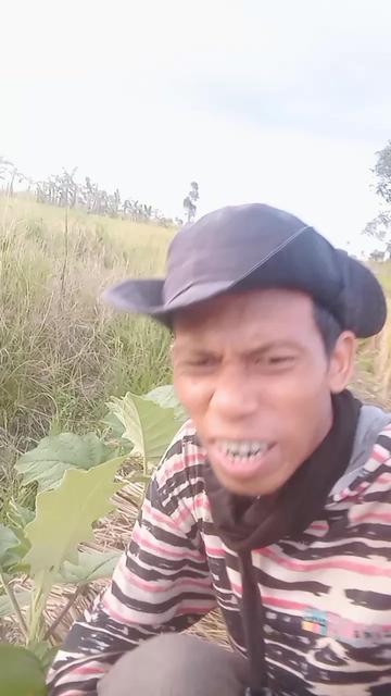 @ali mahesa