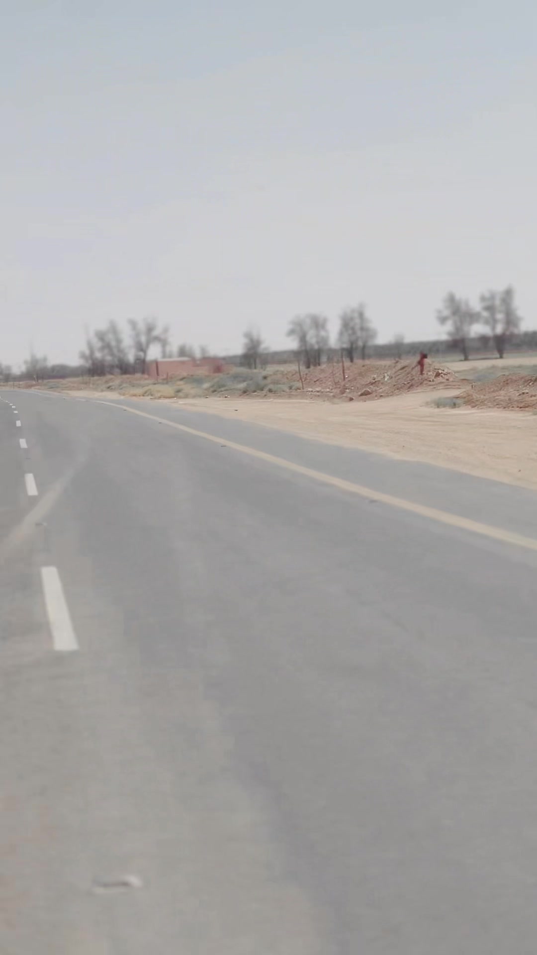 @سردار جیدی جندانی