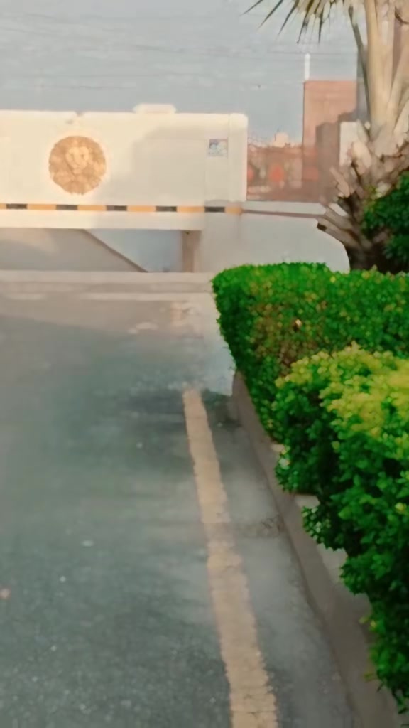 @میری شہزادی 🫂nimo ❤️