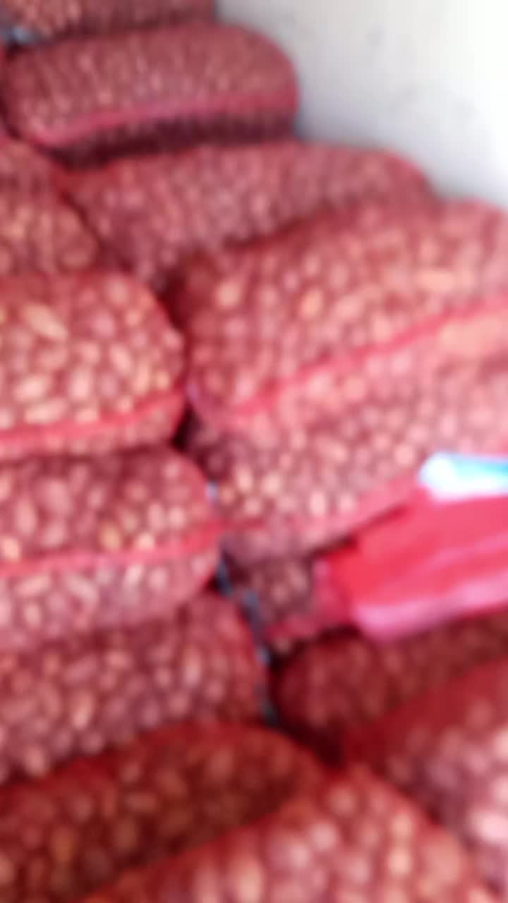 @user5101800652873