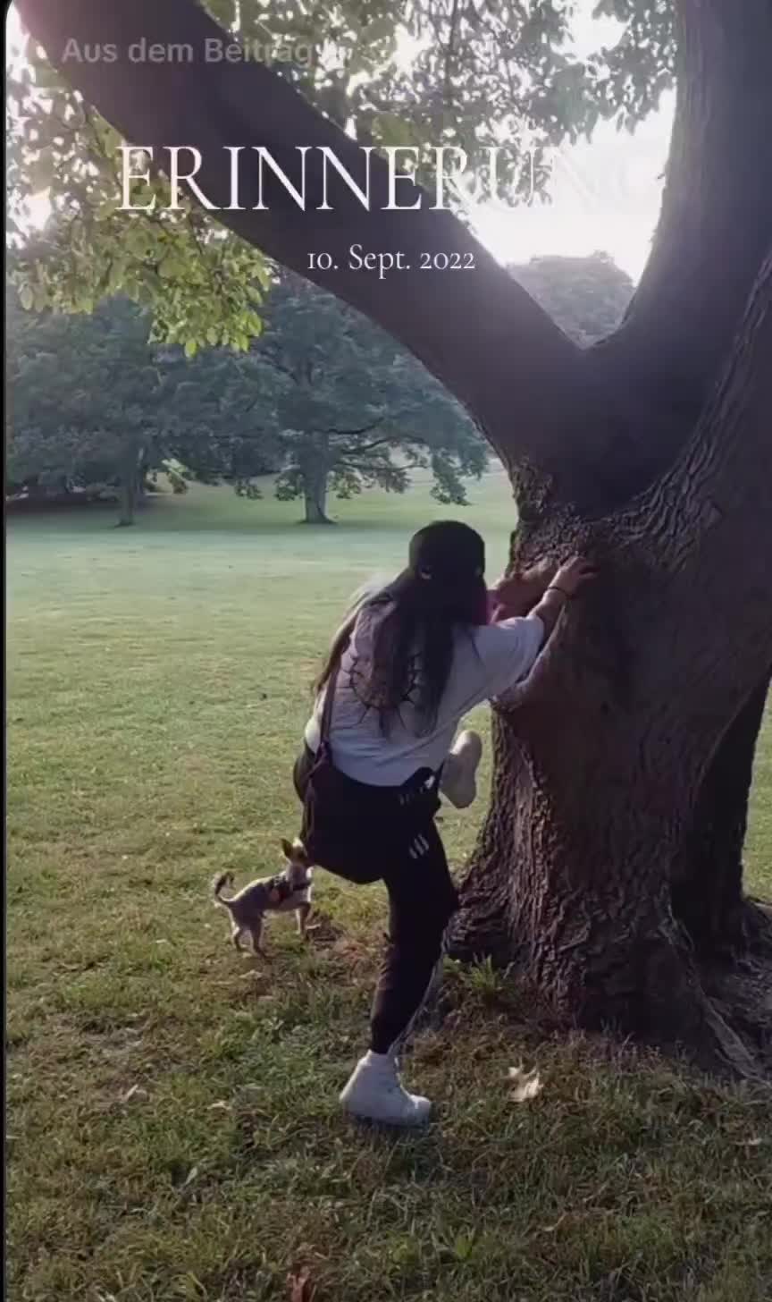 @chaosjenny🥰🤪
