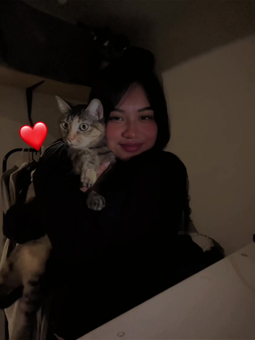 @ari_gato222
