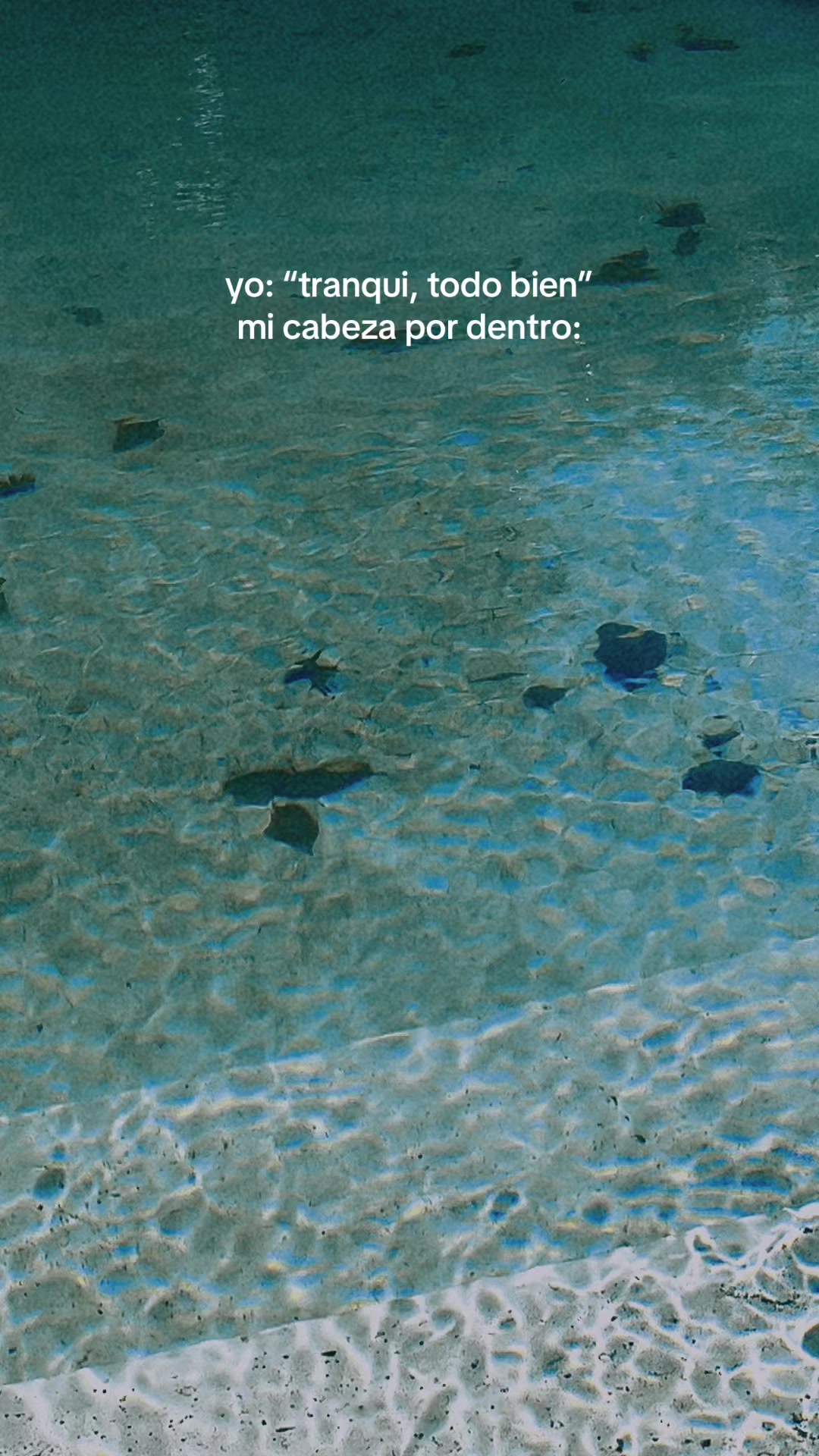 @Mora Navarro