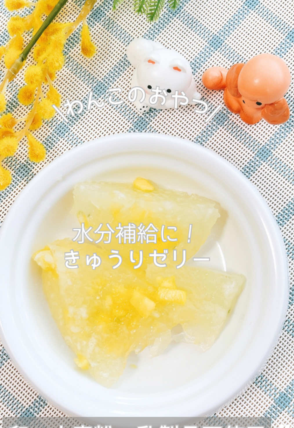 @ゆきえもん｜手作り愛犬おやつ