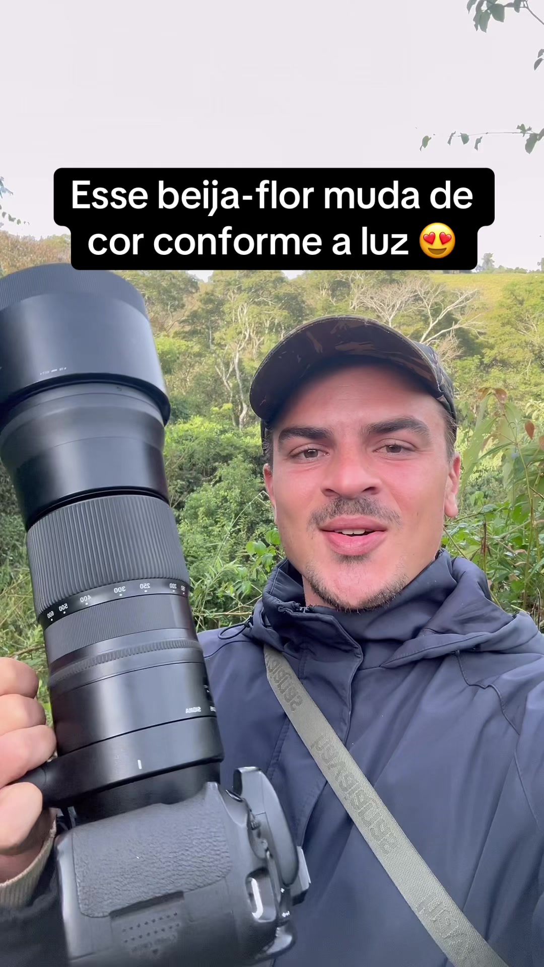 @Vinícius Köhn Pássaros
