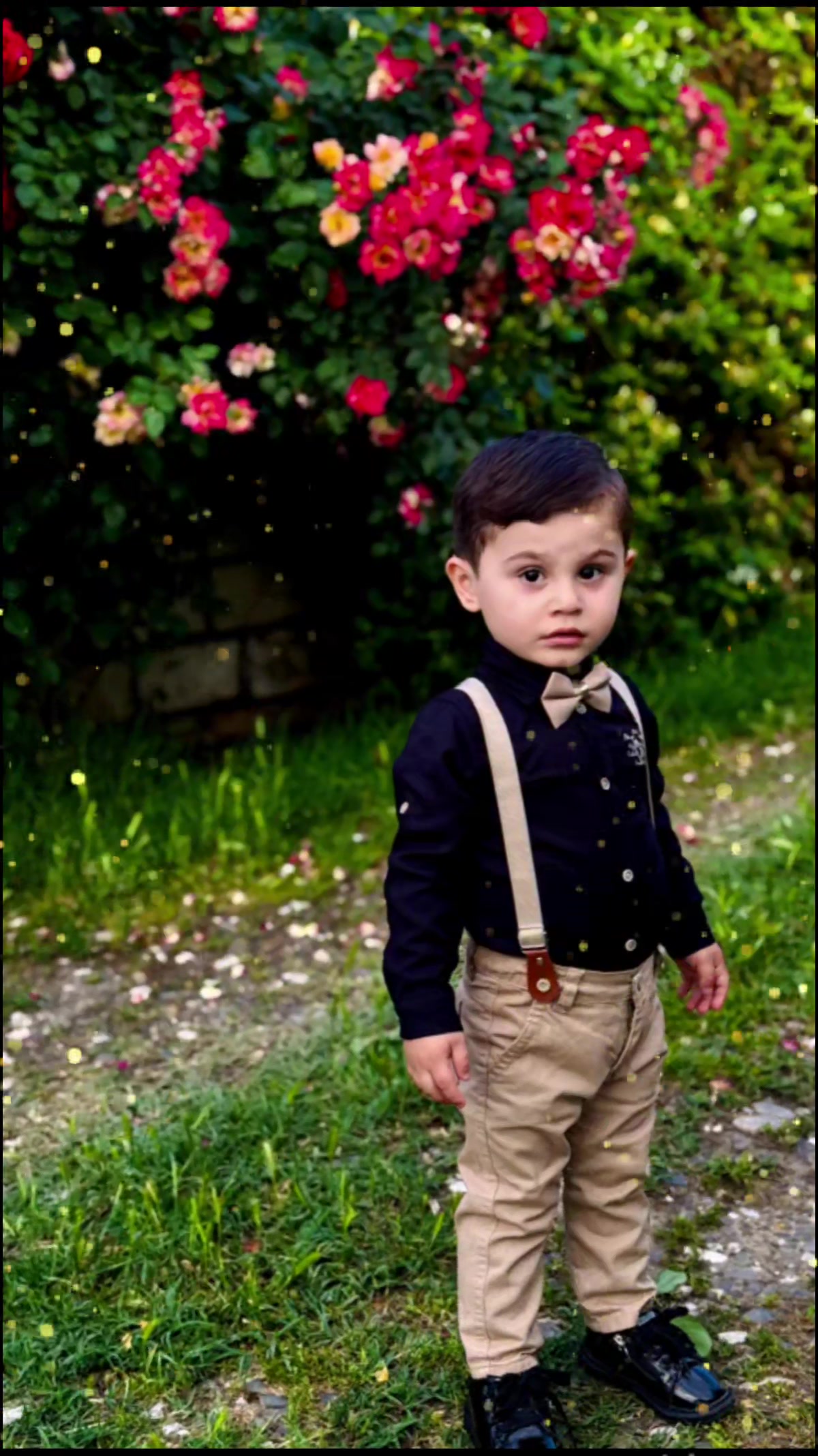@sirinov.soltan