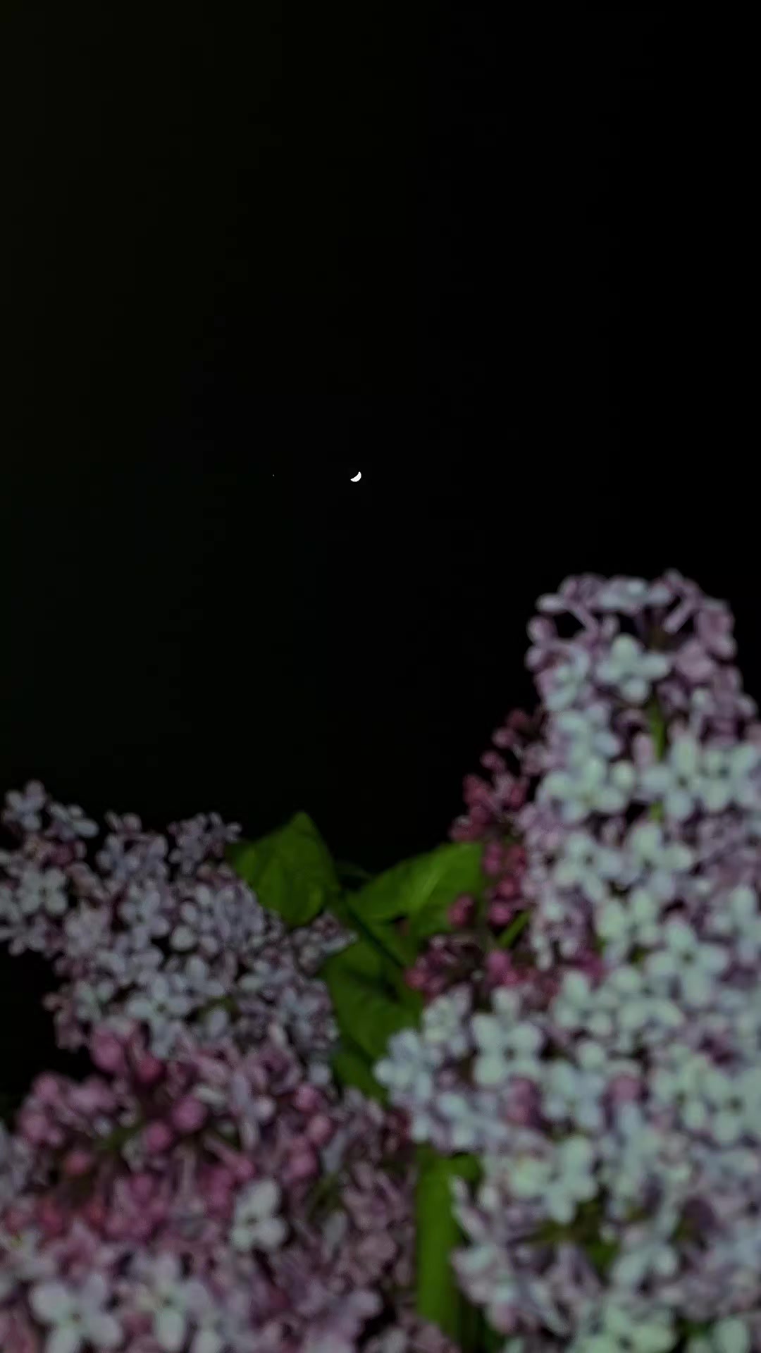 @𝓐𝓻𝔃𝓾_𝓜𝓪𝓭𝓪𝓭𝓸𝓿𝓪