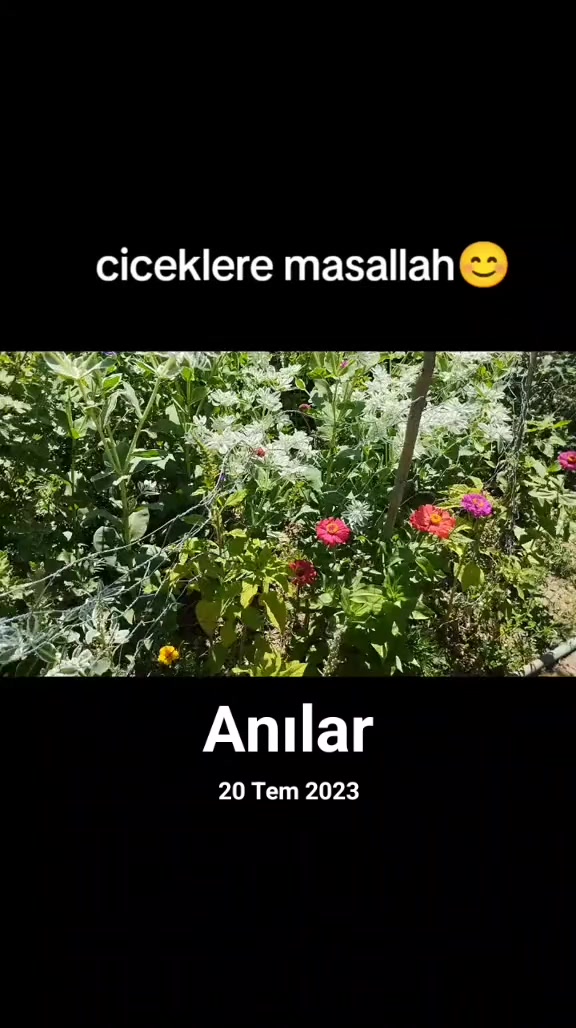 @☺️Farmasi Cemile damgacı🐟