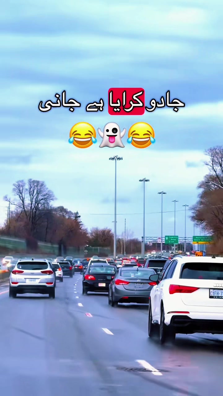 @zahraabbas47