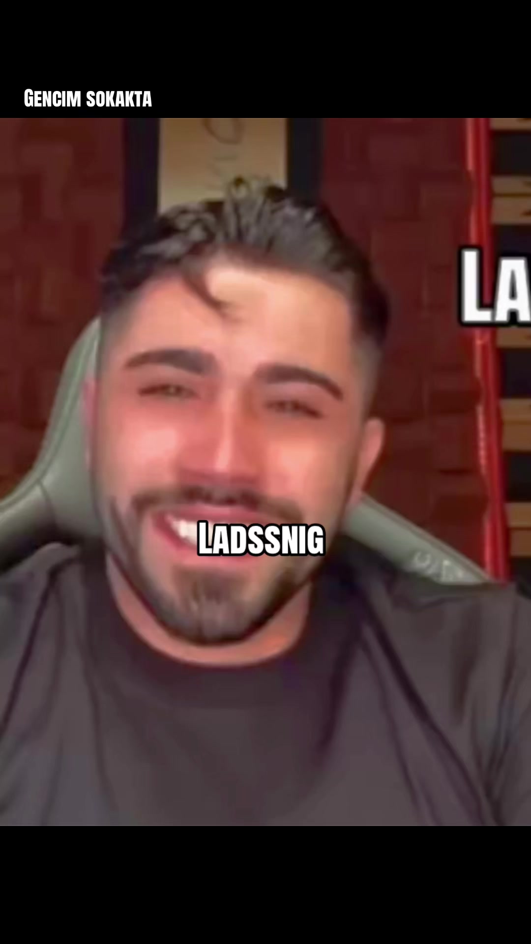 @ladssnig