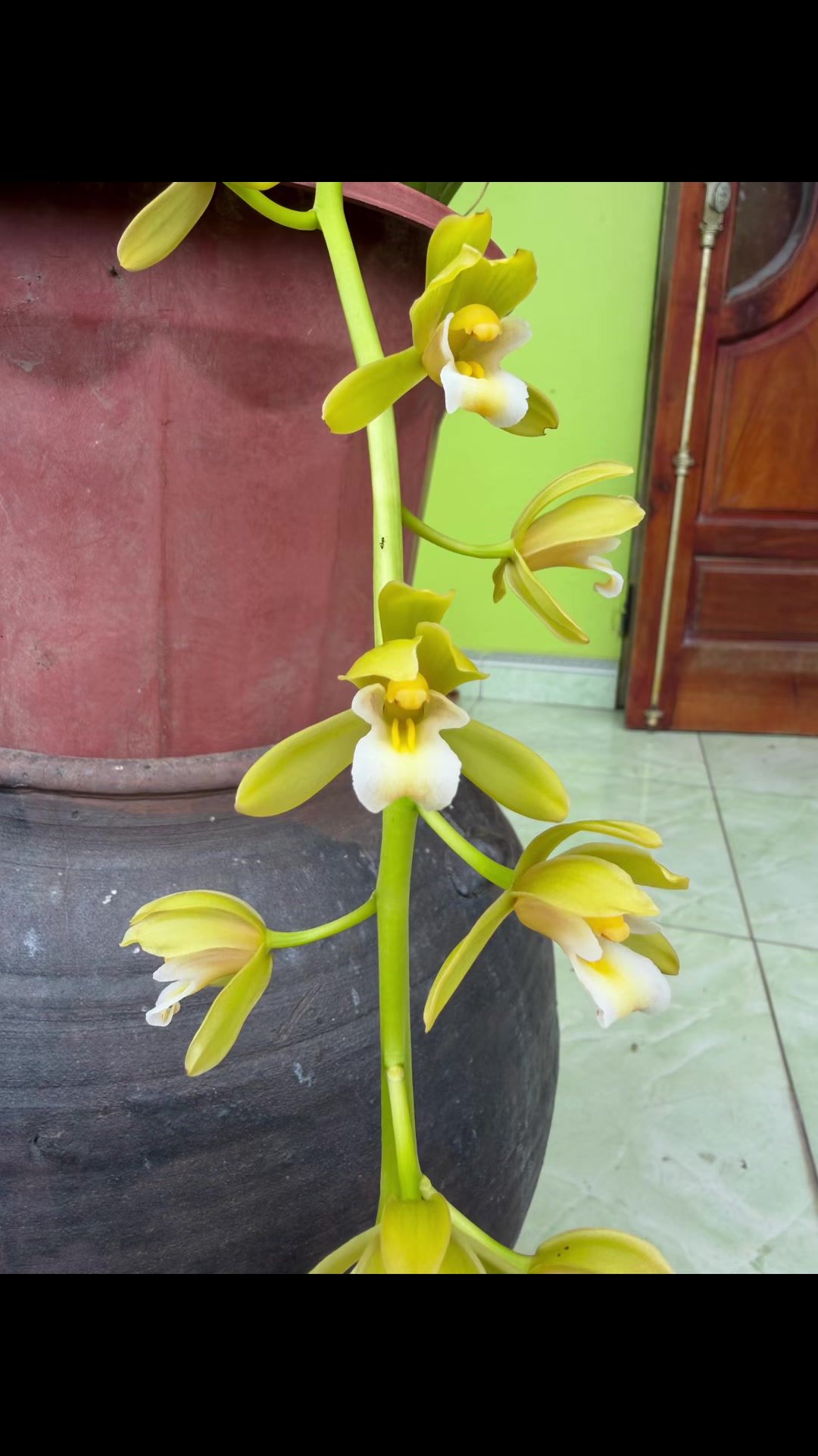 @Đ&agrave;o&ensp;Nguy&ecirc;n&ensp;Lộc