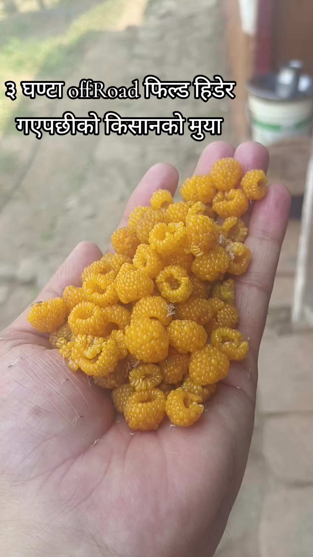 @Tribhuwan Bhatt