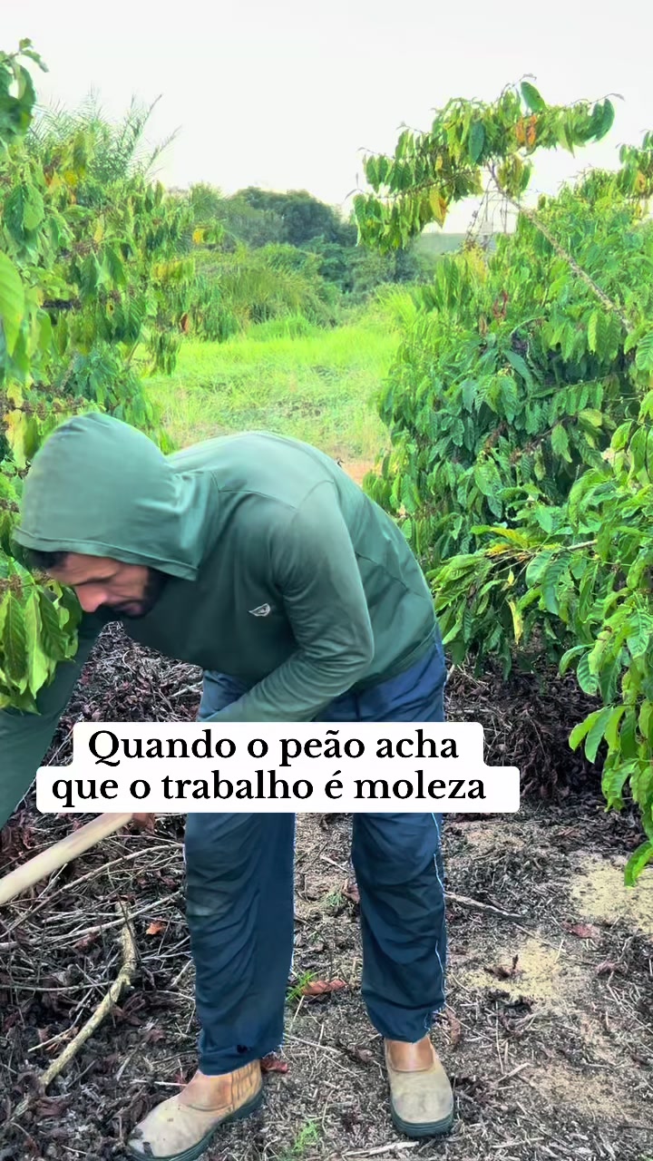 @Am&oacute;s Machado