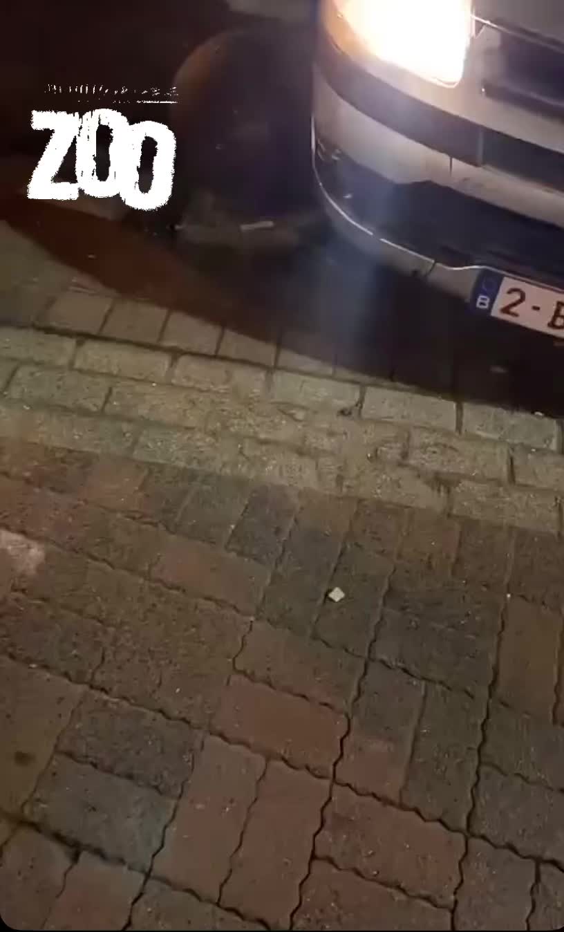 @mouchedecombat