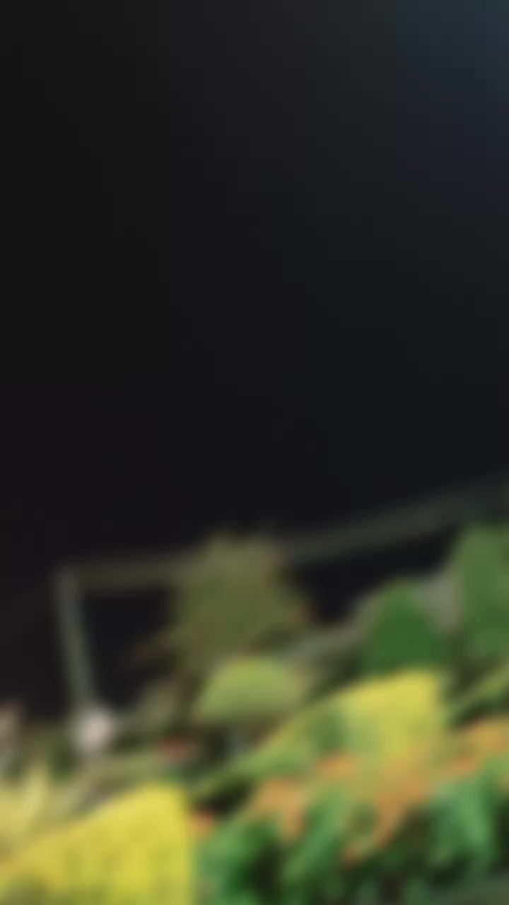 @꧁༒☬اٌمید آفریدی꧁༒☬