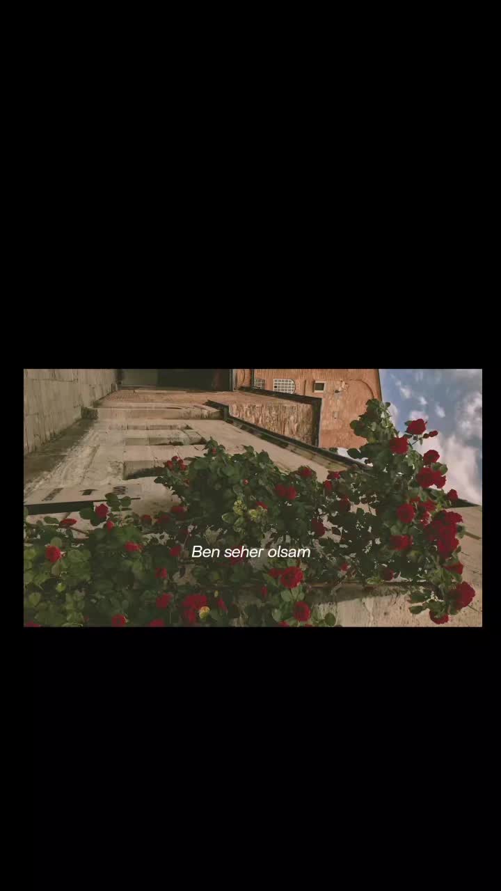 @🥀🪽
