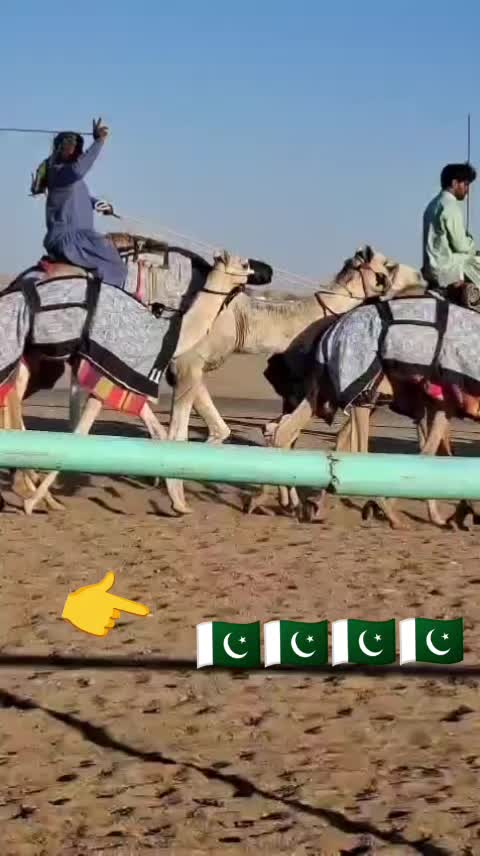 @sajjadalighamber