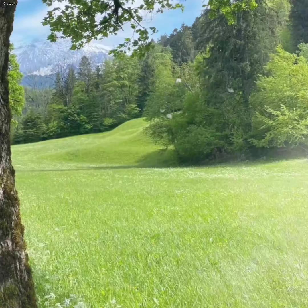 @𝙔𝙪𝙨𝙠𝙞シ︎