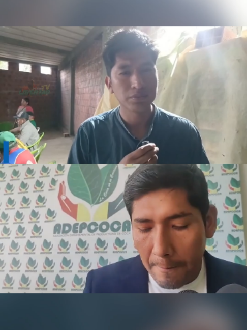 @libertadaynipositiva7