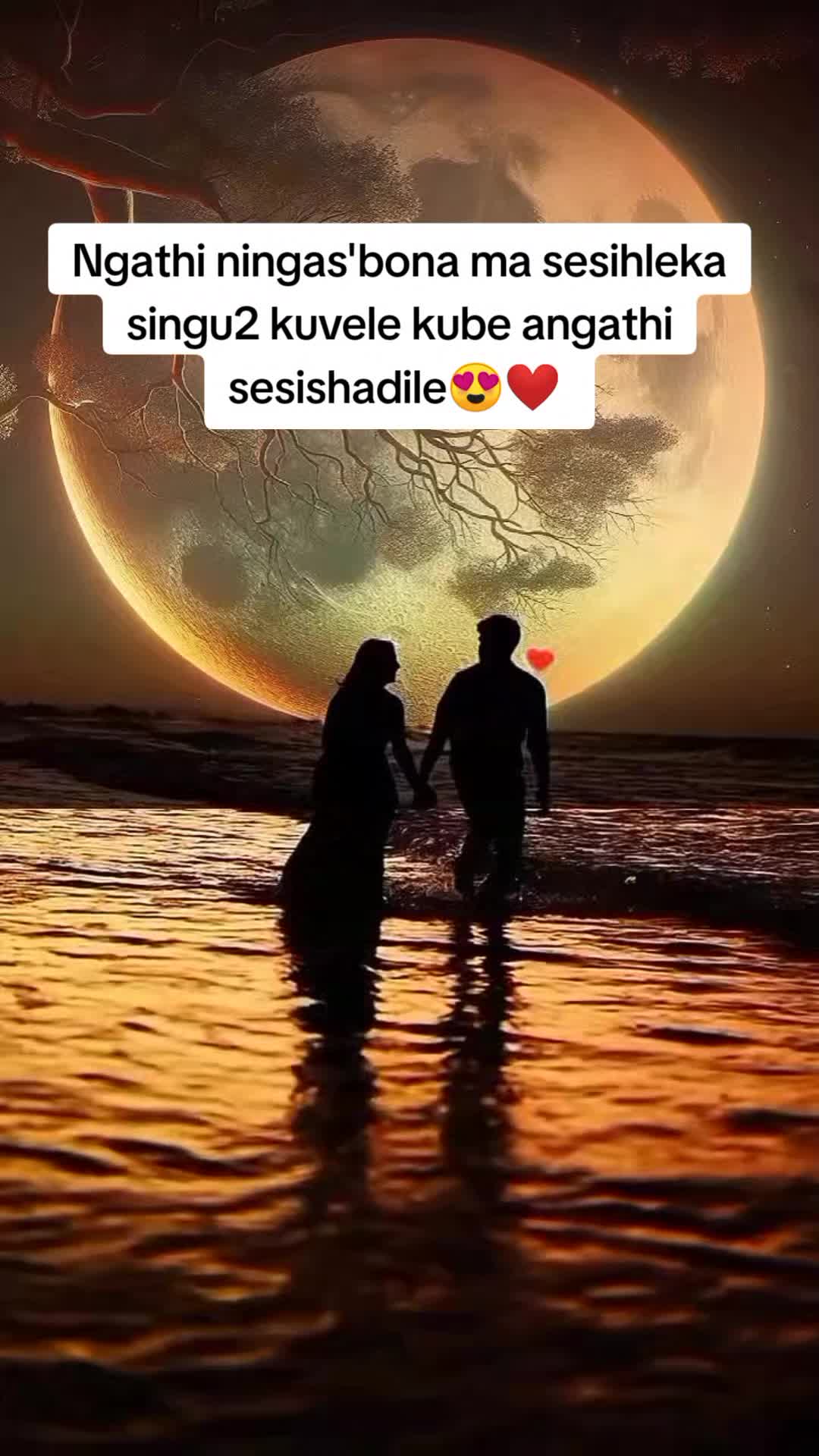@Meloe