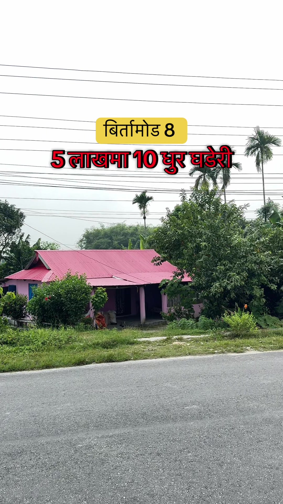 @Maikal ghar jagga